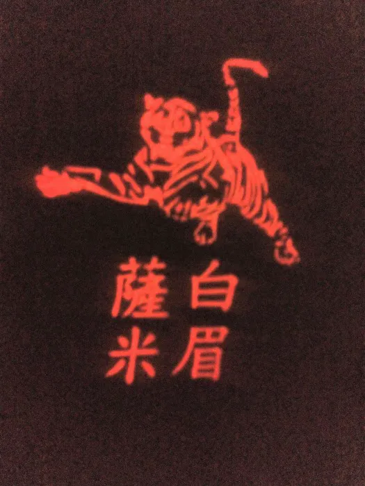 Pak Mei Athletic Association of Ohio Picture 1