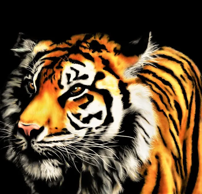 Pak Mei Athletic Association of Ohio Picture 4