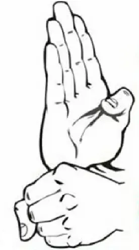 Pak Mei Athletic Association of Ohio Picture 6