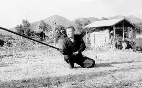 Pak Mei Athletic Association of Ohio Picture 8