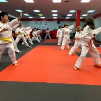 Horizon ATA Martial Arts ico