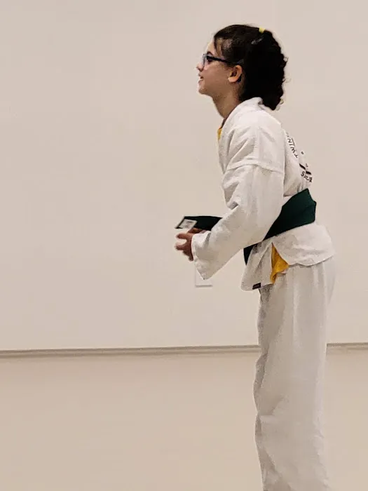 Twinsburg Academy of Self-Defense Picture 5