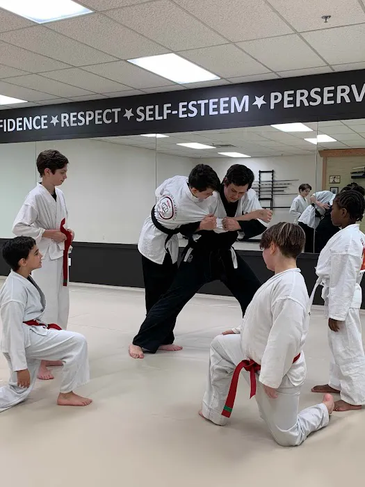 Twinsburg Academy of Self-Defense Picture 7