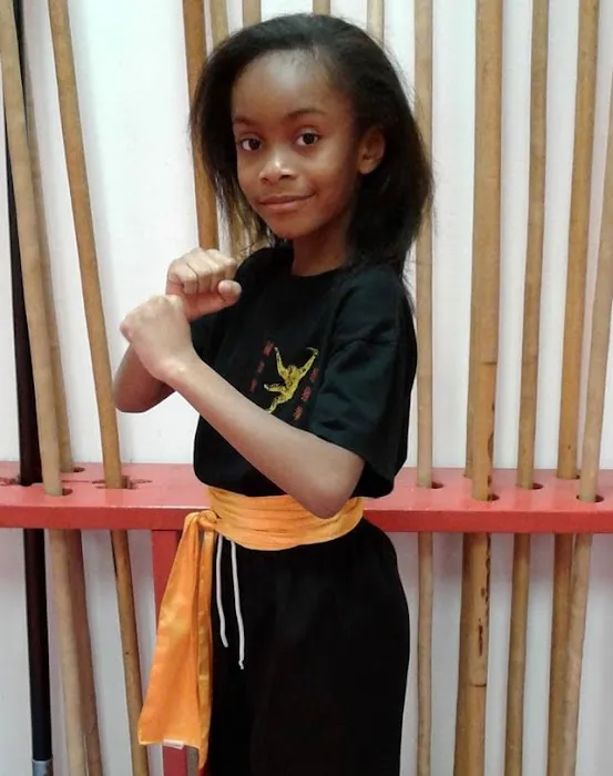 Shaolin Kung Fu Institute Picture 7
