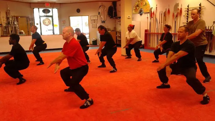 Shaolin Kung Fu Institute Picture 6