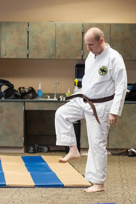 Karate Shorin Picture 1