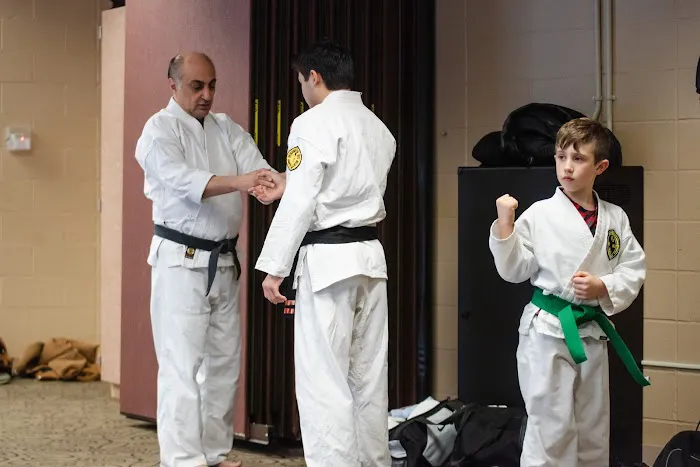 Karate Shorin Picture 6