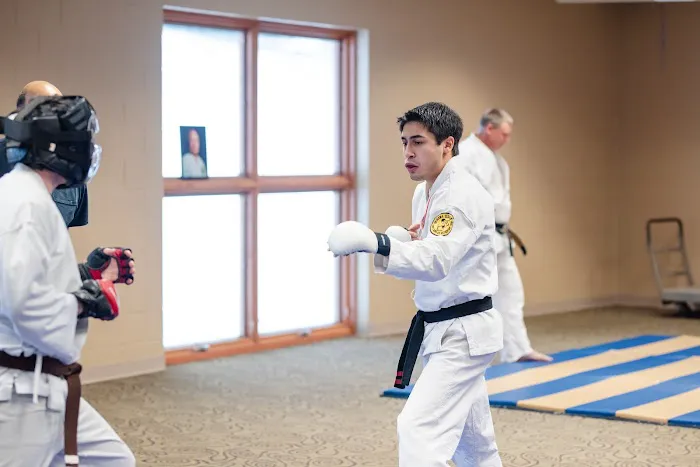 Karate Shorin Picture 9