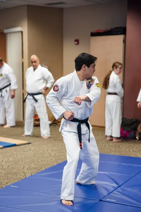 Karate Shorin Picture 10