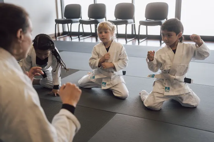 VIA MARTIAL ARTS Picture 1