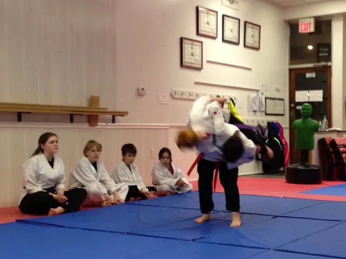 Great Lakes Martial Arts Picture 2