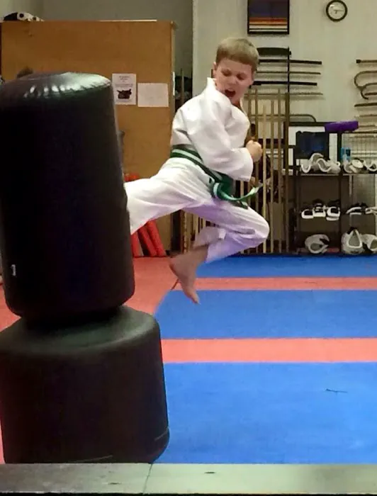 Great Lakes Martial Arts Picture 5