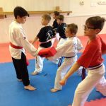 Great Lakes Martial Arts