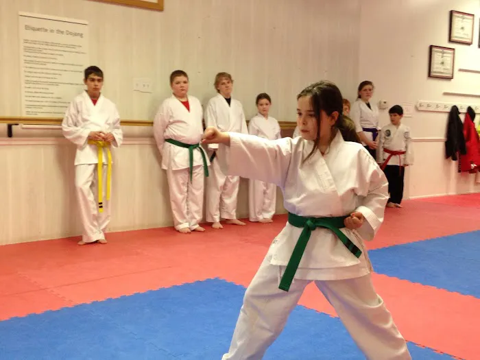 Great Lakes Martial Arts Picture 3