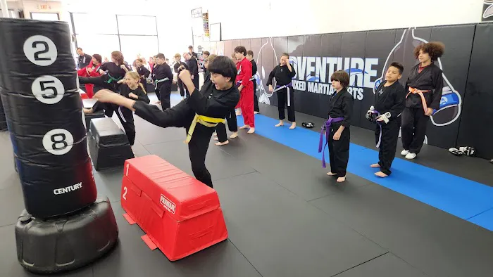 Adventure Martial Arts Picture 3
