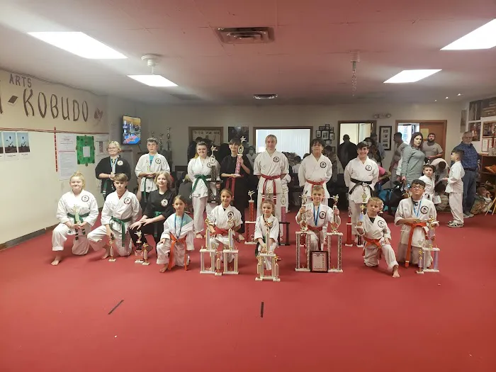 Mr. Dee's Karate Academy Picture 1