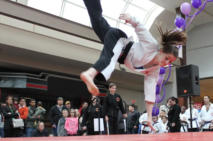 Karate Institute of Mentor Picture 8