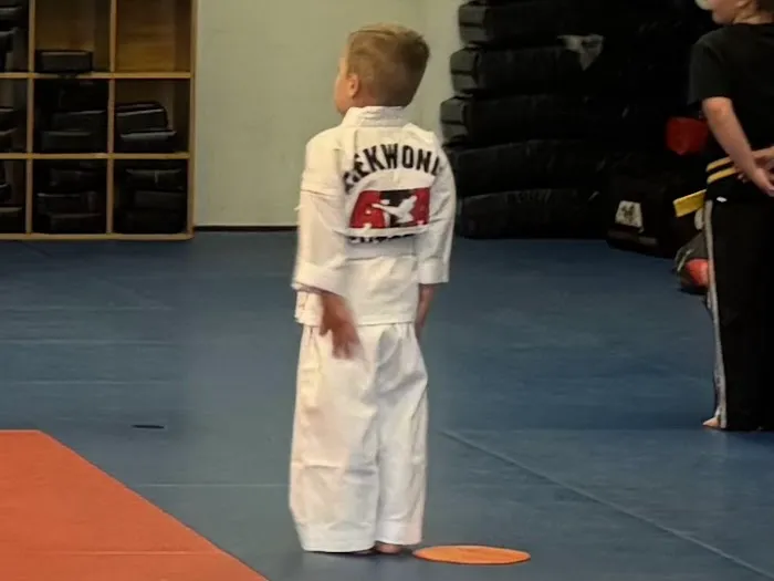 Mentor ATA Martial Arts & Karate for Kids Picture 2
