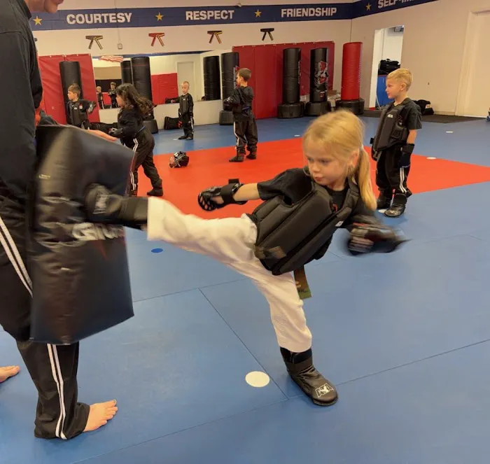 Mentor ATA Martial Arts & Karate for Kids Picture 4