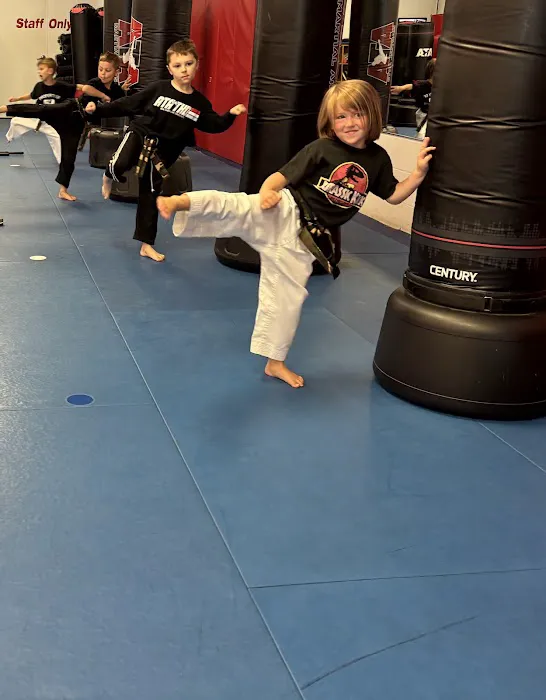 Mentor ATA Martial Arts & Karate for Kids Picture 7