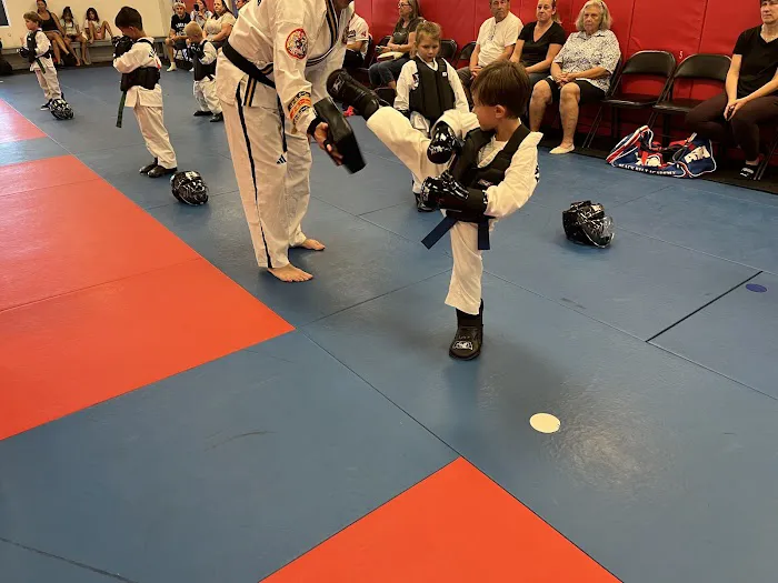 Mentor ATA Martial Arts & Karate for Kids Picture 6