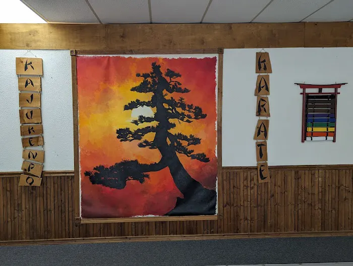 Karate Institute of America - Munson KI Picture 4