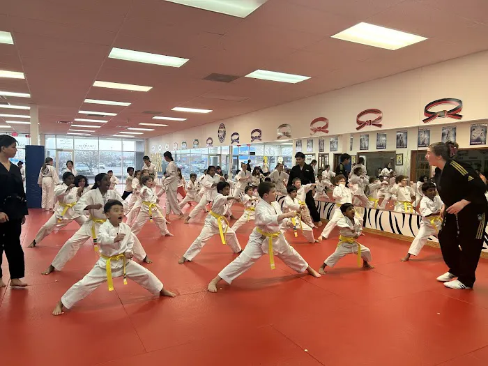 Tiger Woo's World Class Tae Kwon Do & Family Martial Arts Picture 1