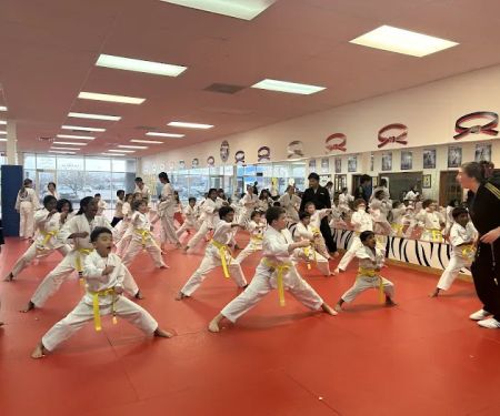 Tiger Woo's World Class Tae Kwon Do & Family Martial Arts