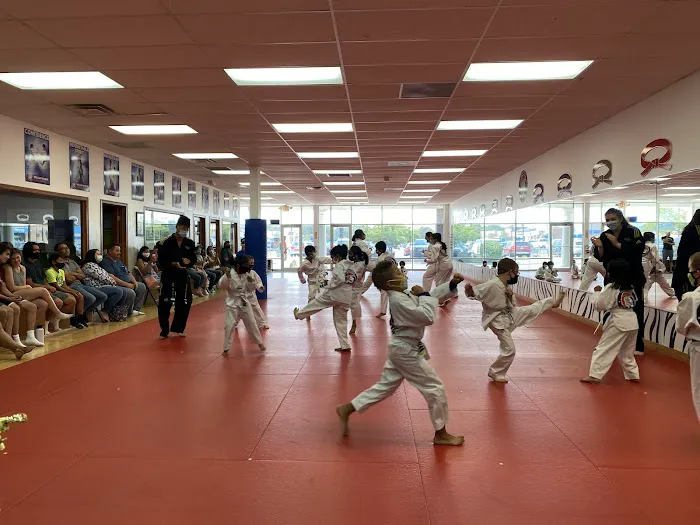 Tiger Woo's World Class Tae Kwon Do & Family Martial Arts Picture 2