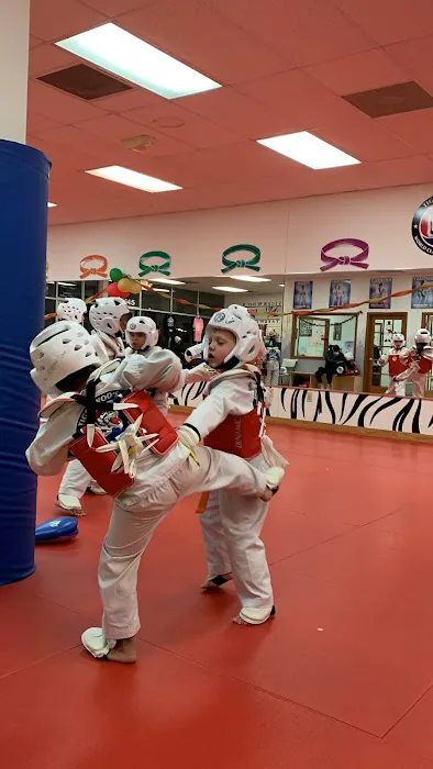 Tiger Woo's World Class Tae Kwon Do & Family Martial Arts Picture 5