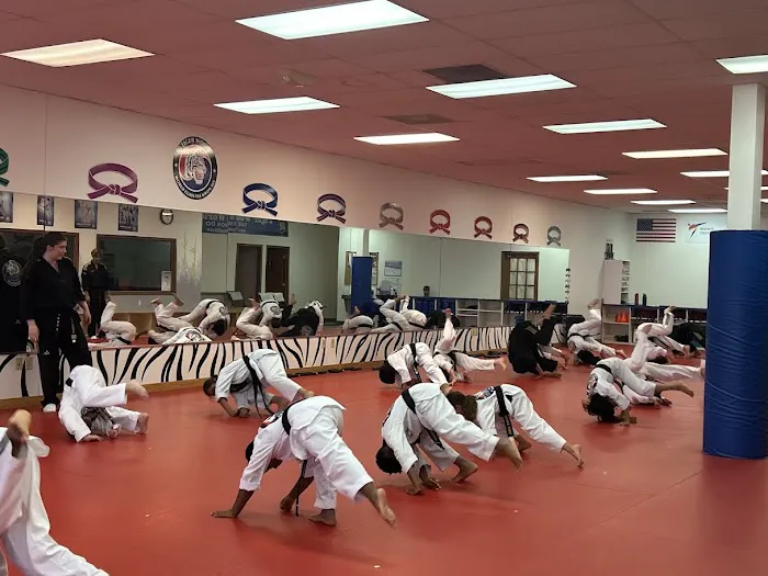 Tiger Woo's World Class Tae Kwon Do & Family Martial Arts Picture 3