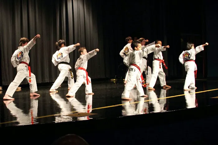 Tiger Woo's World Class Tae Kwon Do & Family Martial Arts Picture 6