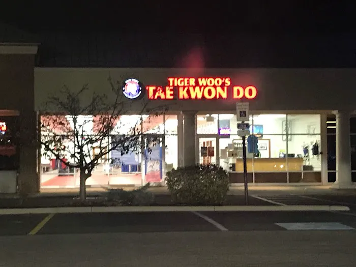 Tiger Woo's World Class Tae Kwon Do & Family Martial Arts Picture 10