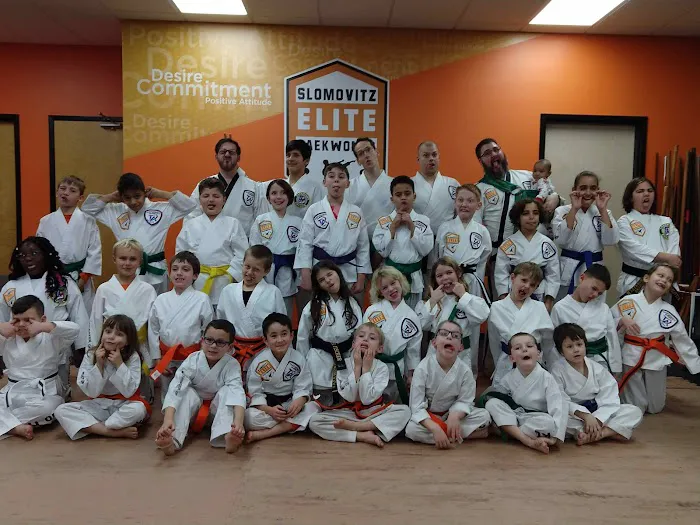 Slomovitz Elite Taekwondo Picture 2