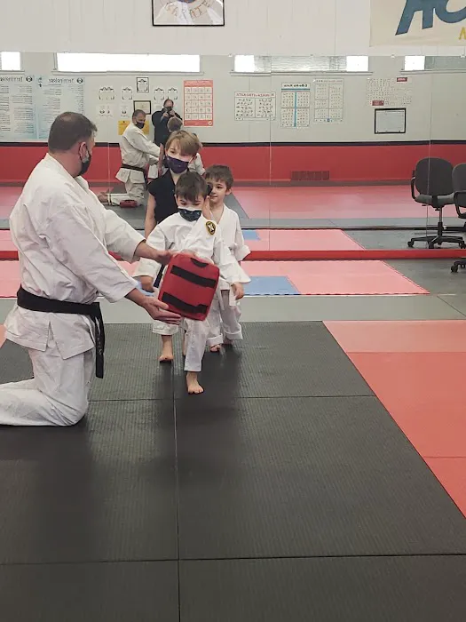 Josho Academy of Martial Arts Picture 5