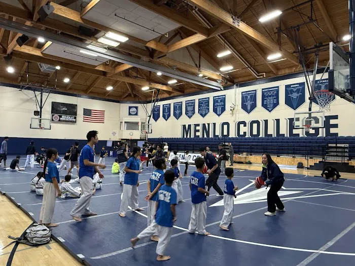 Pinnacle Martial Arts Picture 2