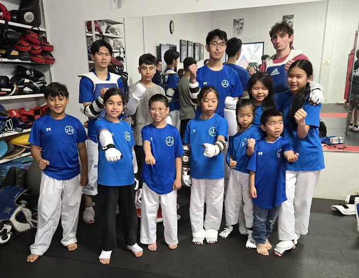 Pinnacle Martial Arts Picture 1