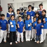 Pinnacle Martial Arts ico