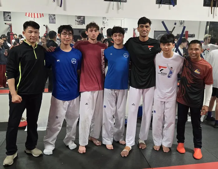 Pinnacle Martial Arts Picture 4