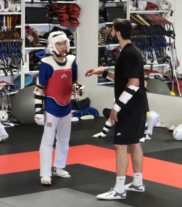 Pinnacle Martial Arts Picture 5