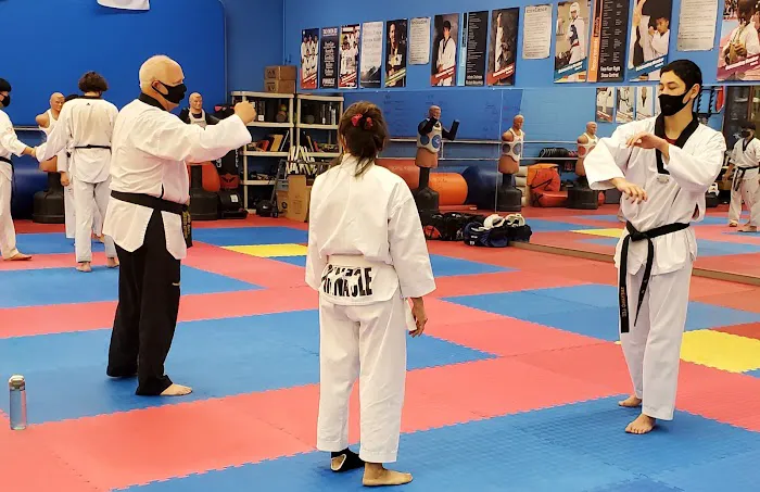 Pinnacle Martial Arts Picture 9