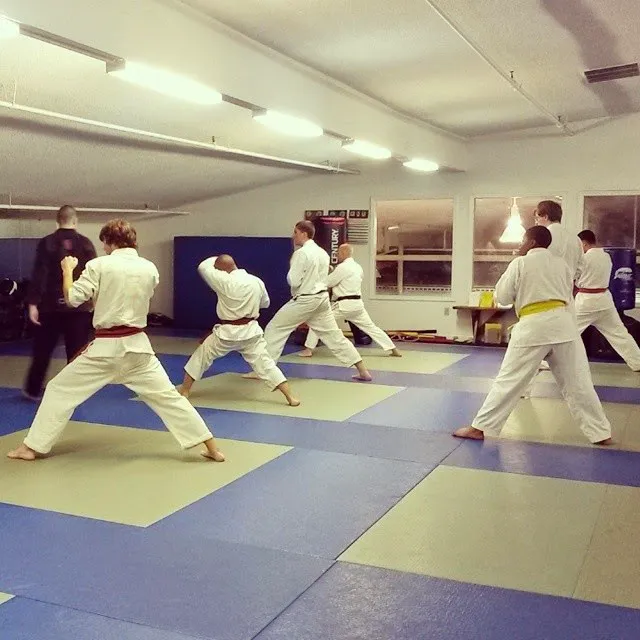 Pacific Martial Arts Picture 1