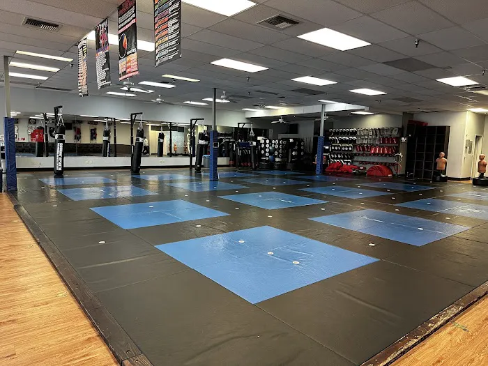 Ultimate Martial Arts Picture 4