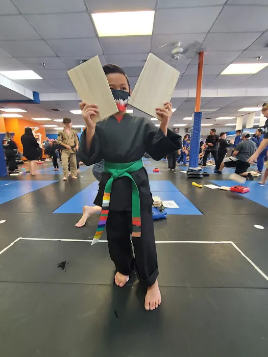 Ultimate Martial Arts Picture 8