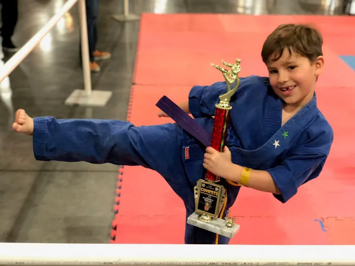 Ultimate Martial Arts Picture 10