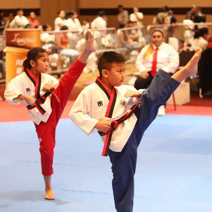 Hollywood Martial Arts Studio Fresno Taekwondo Picture 2