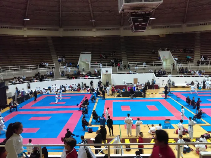 Budo-Kan Fighting Arts of Fresno Picture 8