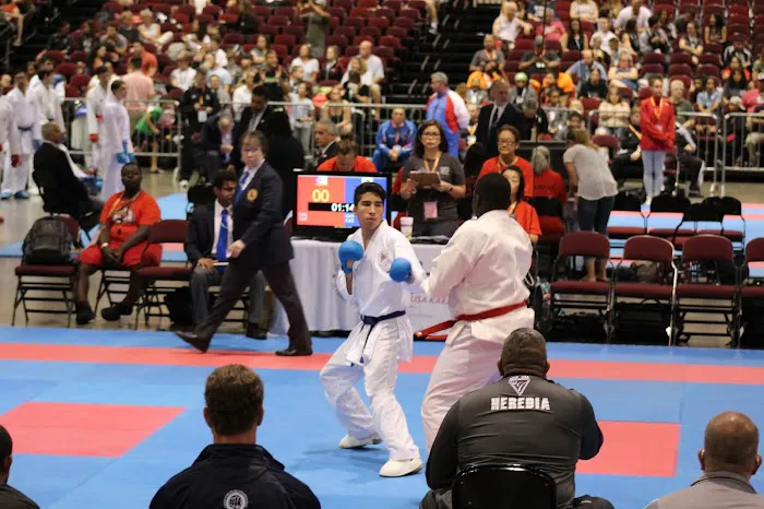 Budo-Kan Fighting Arts of Fresno Picture 10