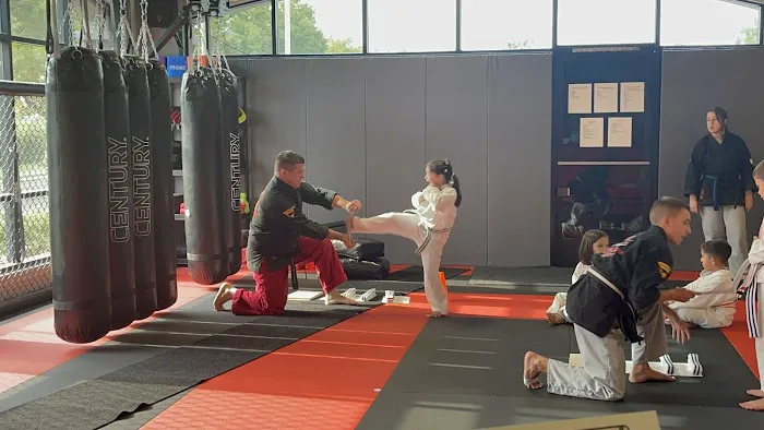 Guido's Martial Arts Academy Picture 3