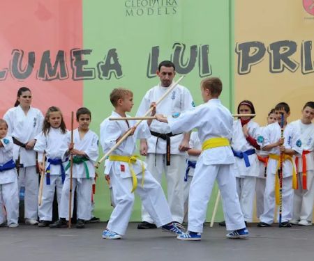 Ascend Martial Arts